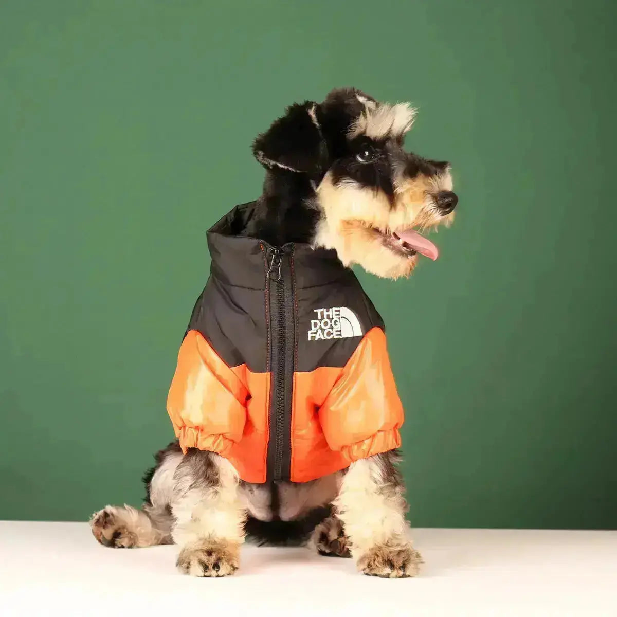 Hundemantel für den Winter | Wärmeisolierend und winddicht