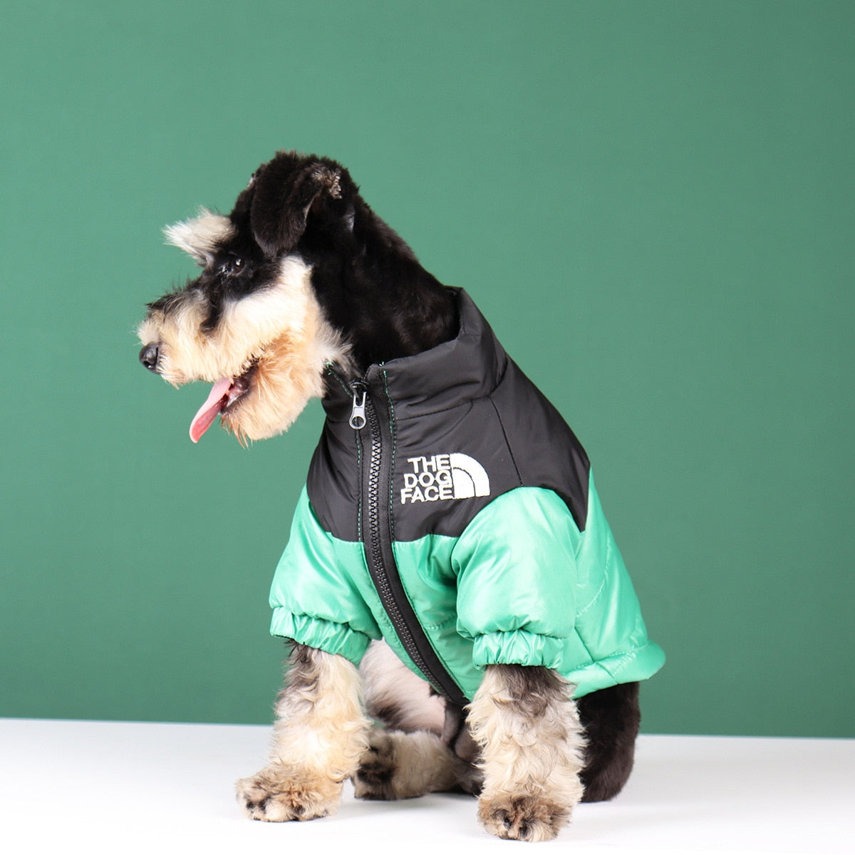 Hundemantel für den Winter | Wärmeisolierend und winddicht