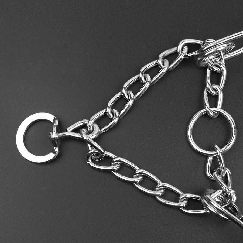 Hundehalsband - Stilvolles und sicheres Korrekturhalsband