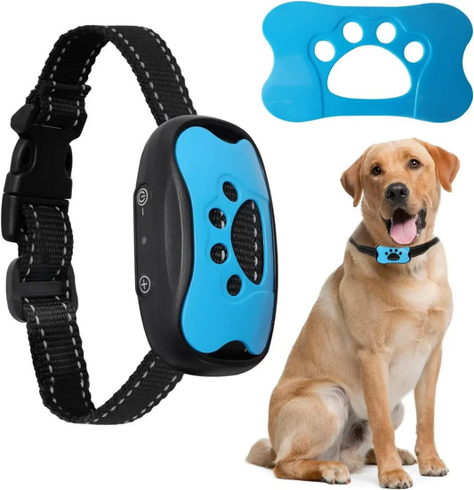 Antibell-Halsband für Hunde mit sicherer Vibrations-Trainingsfunktion