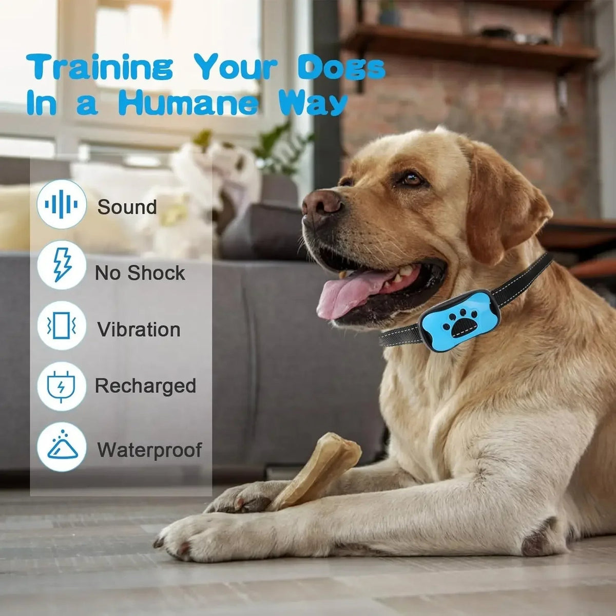 Antibell-Halsband für Hunde mit sicherer Vibrations-Trainingsfunktion