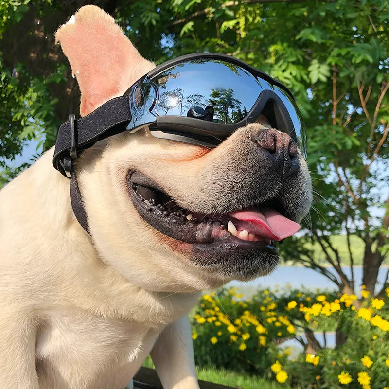 Hundebrille - UV-Schutz - Winddicht | Bequem