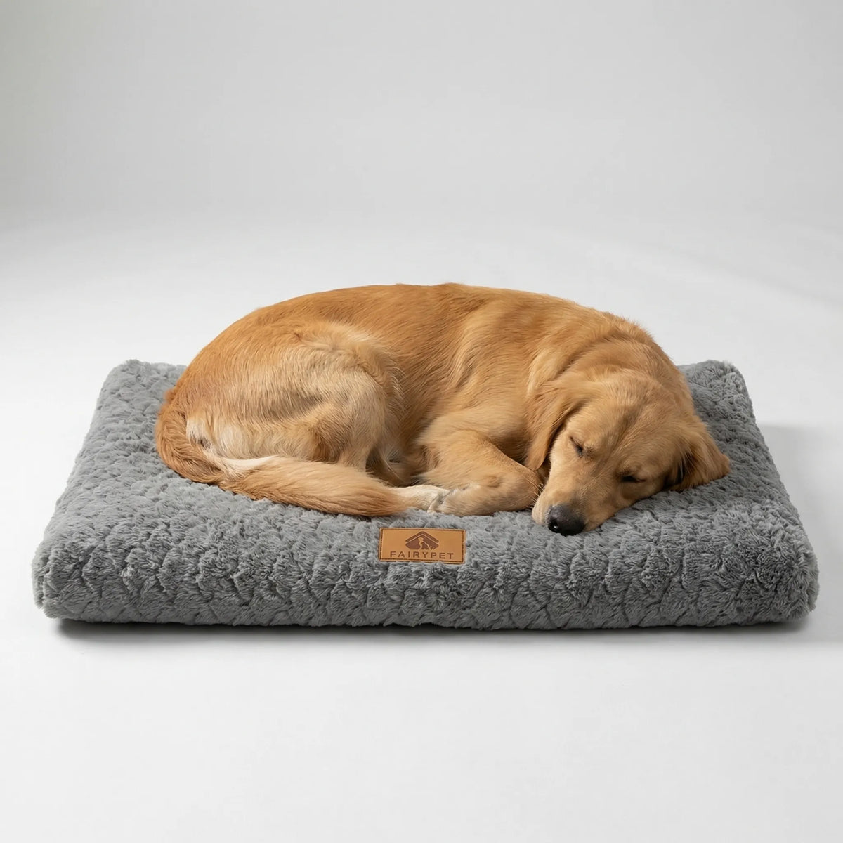 Flaches orthopädisches Schaumstoff-Hundebett