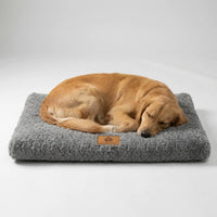 Flaches orthopädisches Schaumstoff-Hundebett