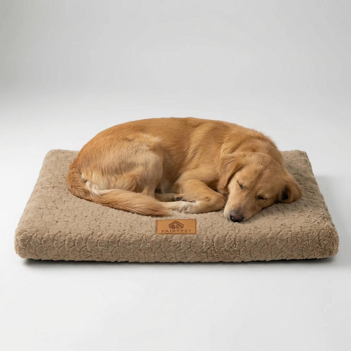 Flaches orthopädisches Schaumstoff-Hundebett