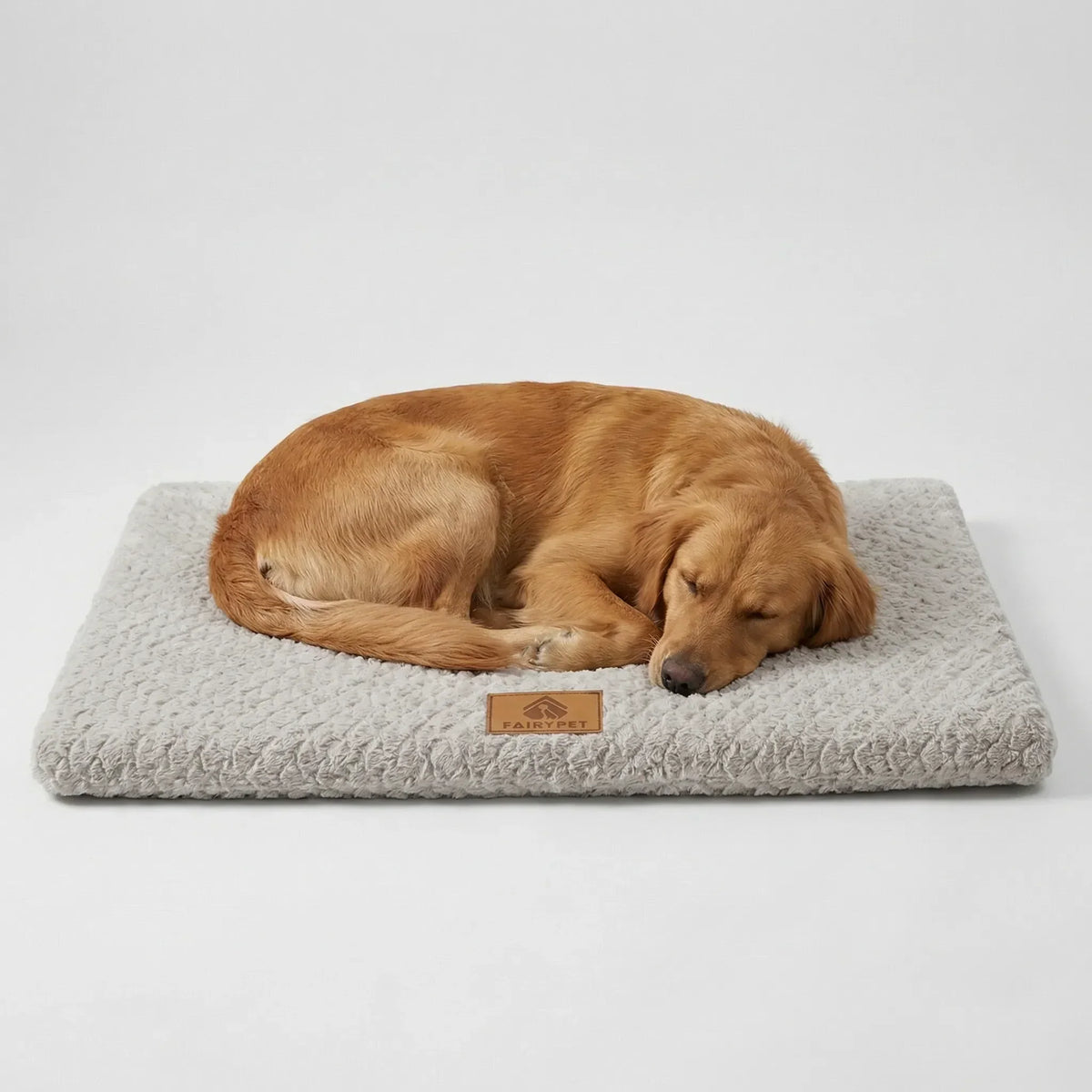 Flaches orthopädisches Schaumstoff-Hundebett
