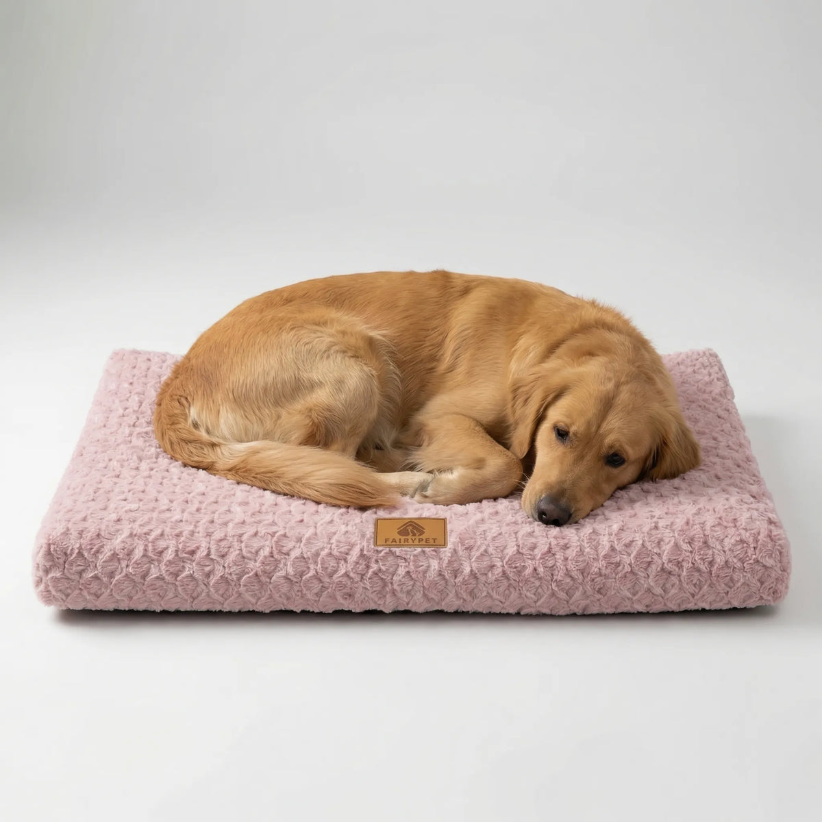 Flaches orthopädisches Schaumstoff-Hundebett