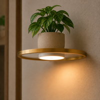 Schwebendes LED-Wandregal mit Goldbeschichtung, wiederaufladbarer Stimmungsbeleuchtung für Pflanzen