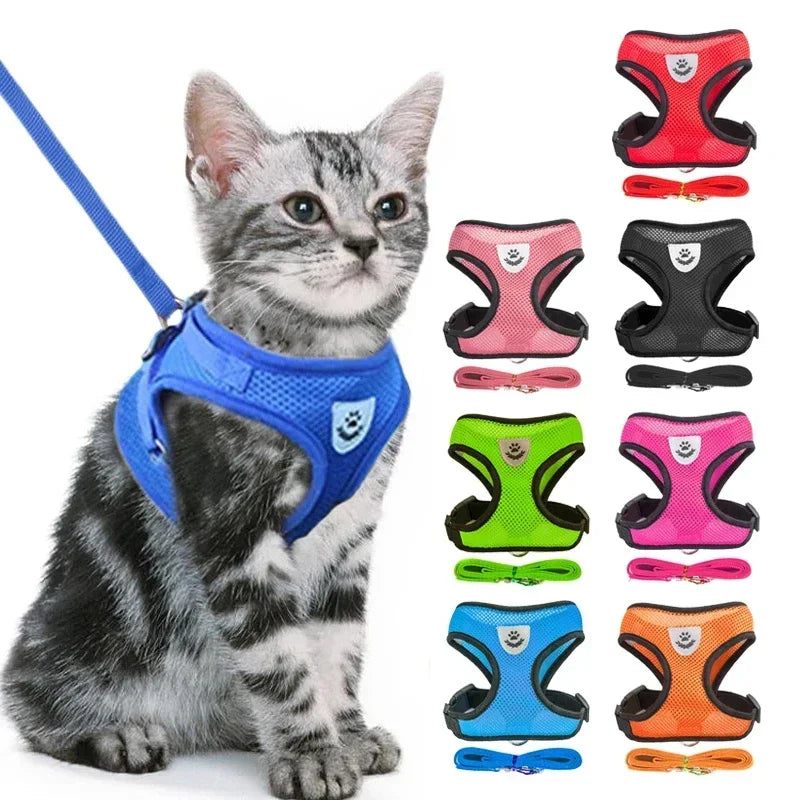 Katzen- und Hundegeschirr mit Leine
