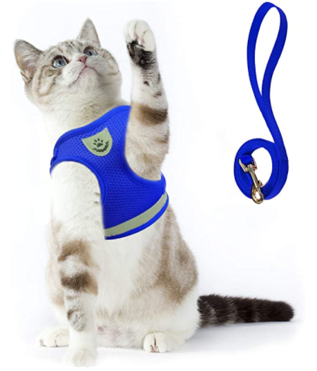 Katzengeschirr mit Leine