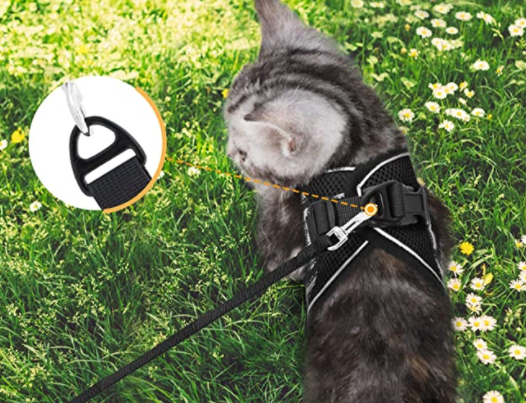 Katzengeschirr mit Leine