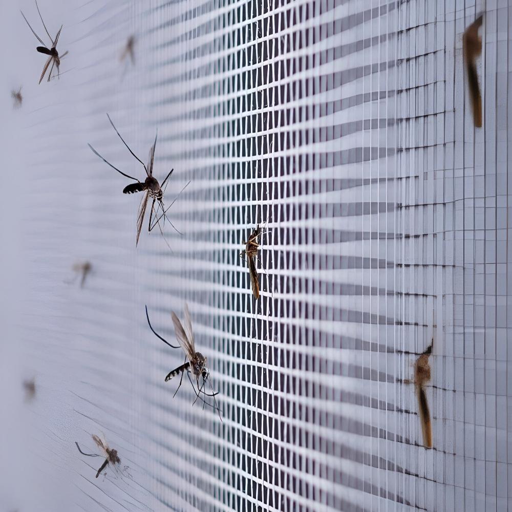 Magnetisches Fenster-Fliegengitter mit einfacher Montage und Insektenschutz