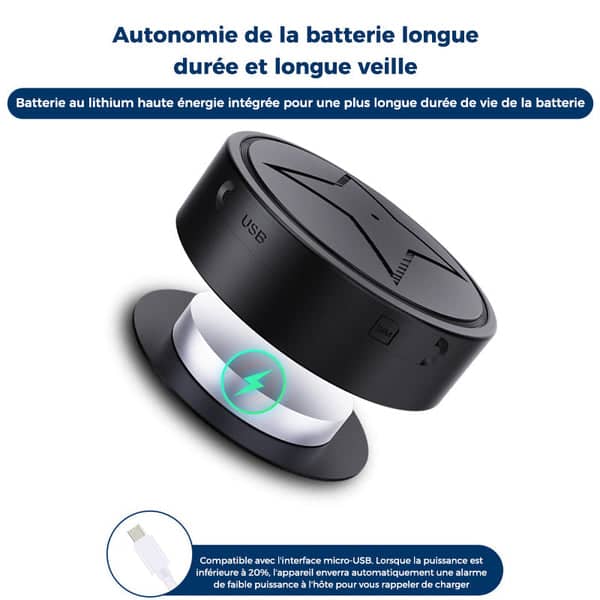 Mini GPS-Tracker mit Mikrofon für Fahrzeugsicherheit