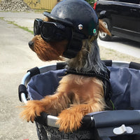 Motorradhelm und Schutzbrille für Hunde | Modisch und sicher