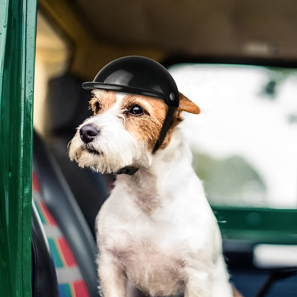 Motorradhelm und Schutzbrille für Hunde | Modisch und sicher