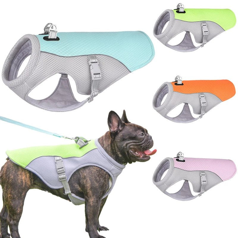 Sommer-Kühlweste für Französische Bulldoggen – hitzebeständig, atmungsaktiv und mit Sonnenschutz