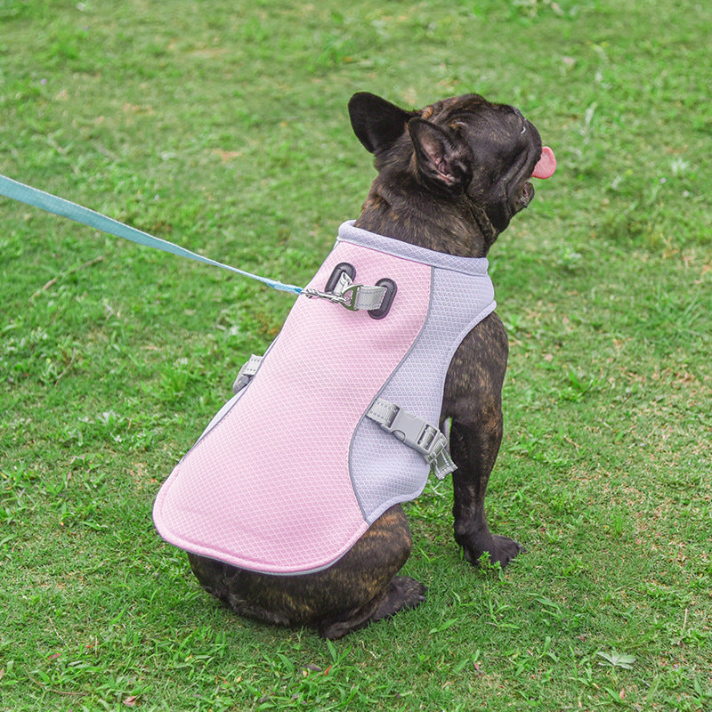 Sommer-Kühlweste für Französische Bulldoggen – hitzebeständig, atmungsaktiv und mit Sonnenschutz