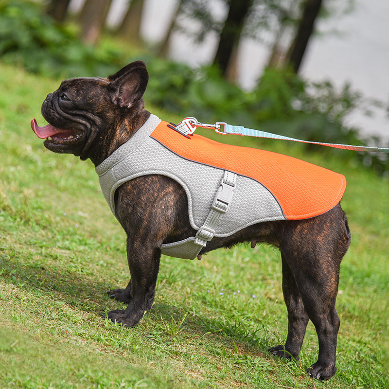 Sommer-Kühlweste für Französische Bulldoggen – hitzebeständig, atmungsaktiv und mit Sonnenschutz