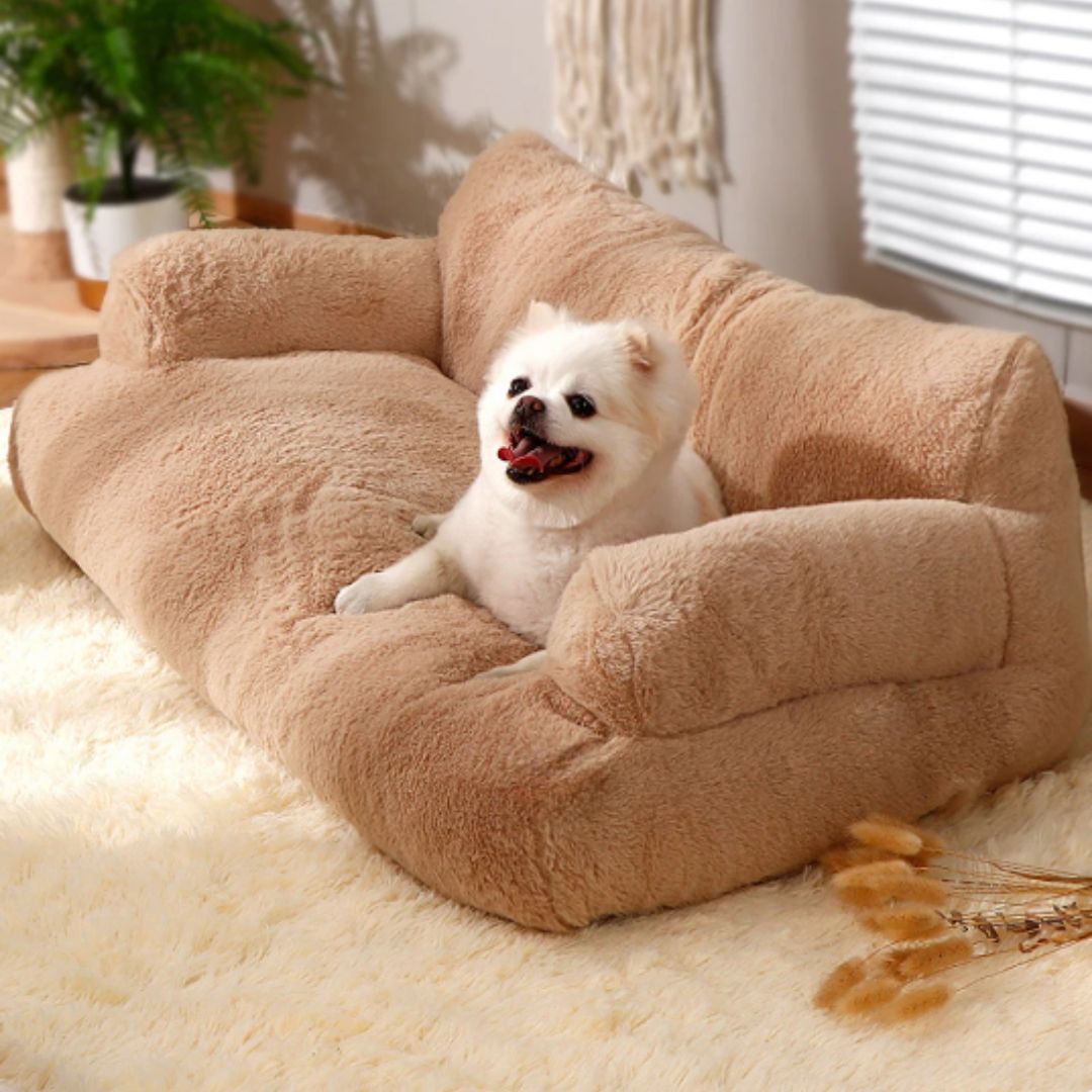 Beruhigendes Sofa für Haustiere