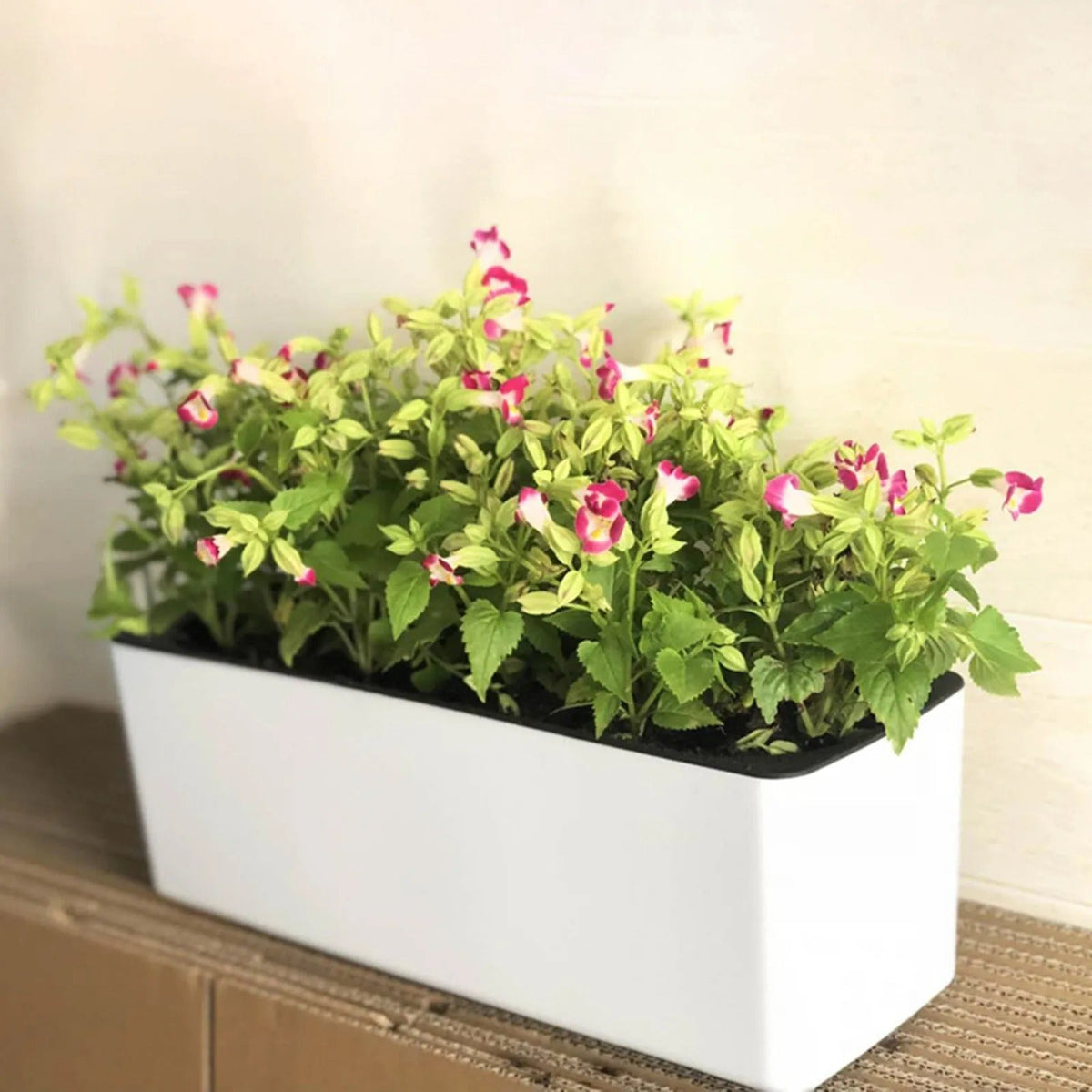Selbstbewässernder Blumentopf mit Wasserstandsanzeiger