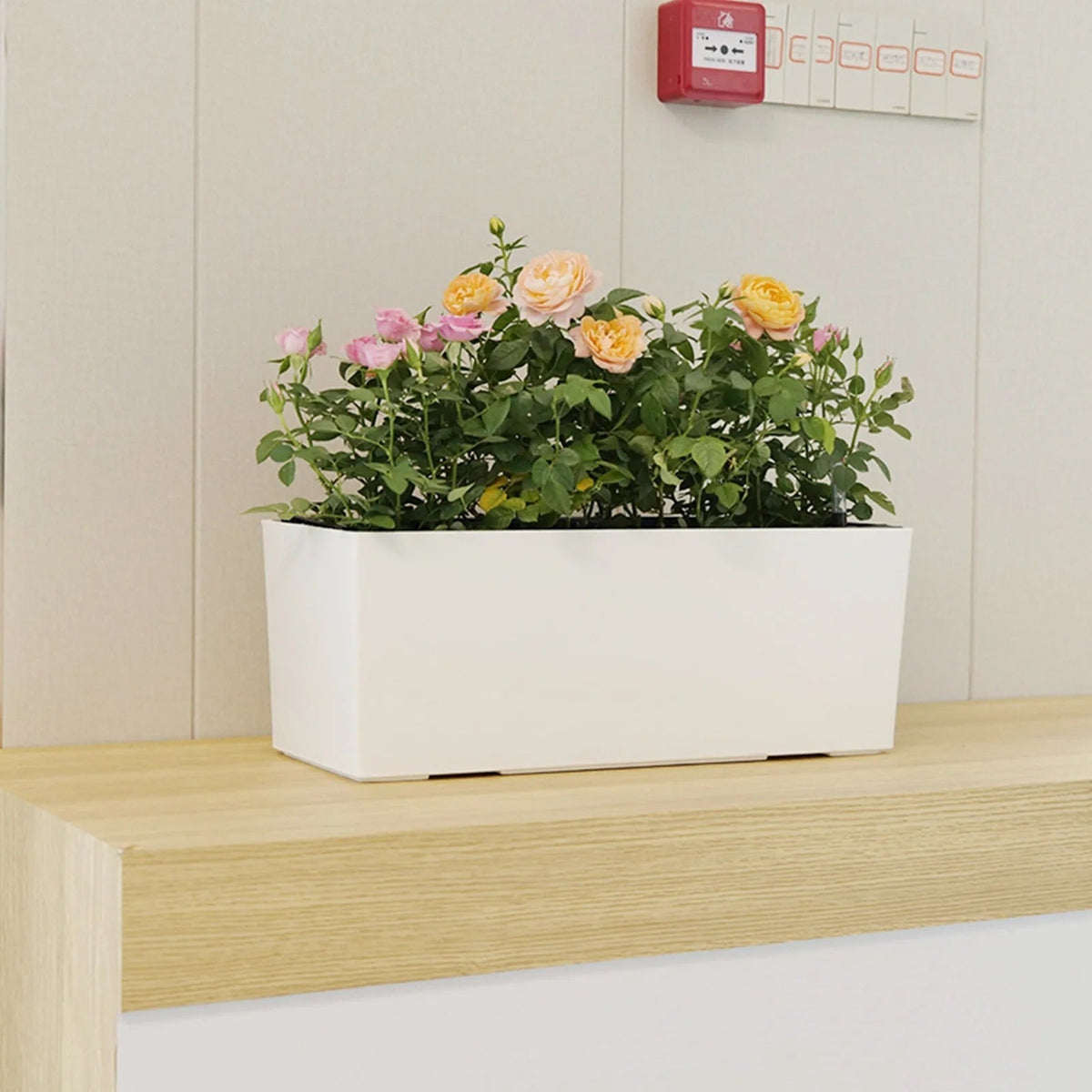 Selbstbewässernder Blumentopf mit Wasserstandsanzeiger
