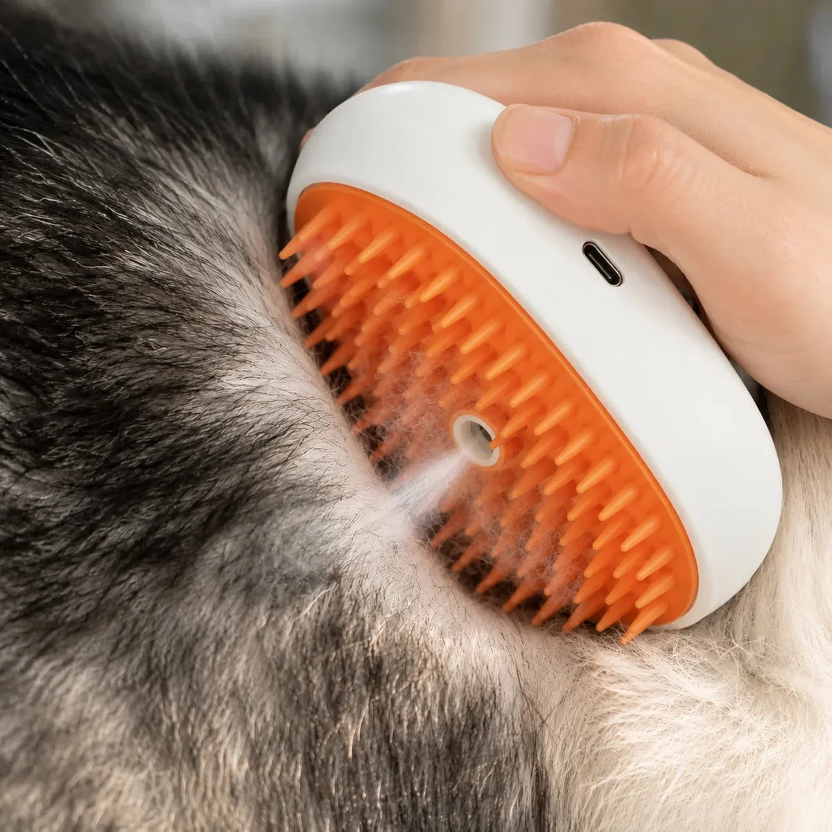 Dampfpflegebürste für Katzen, Hunde und Kleintiere