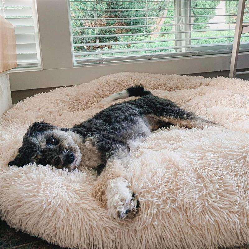 Flauschiges, angstlösendes Donut-Hundebett für alle Hunde
