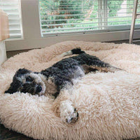 Flauschiges, angstlösendes Donut-Hundebett für alle Hunde