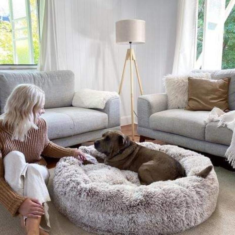 Flauschiges, angstlösendes Donut-Hundebett für alle Hunde