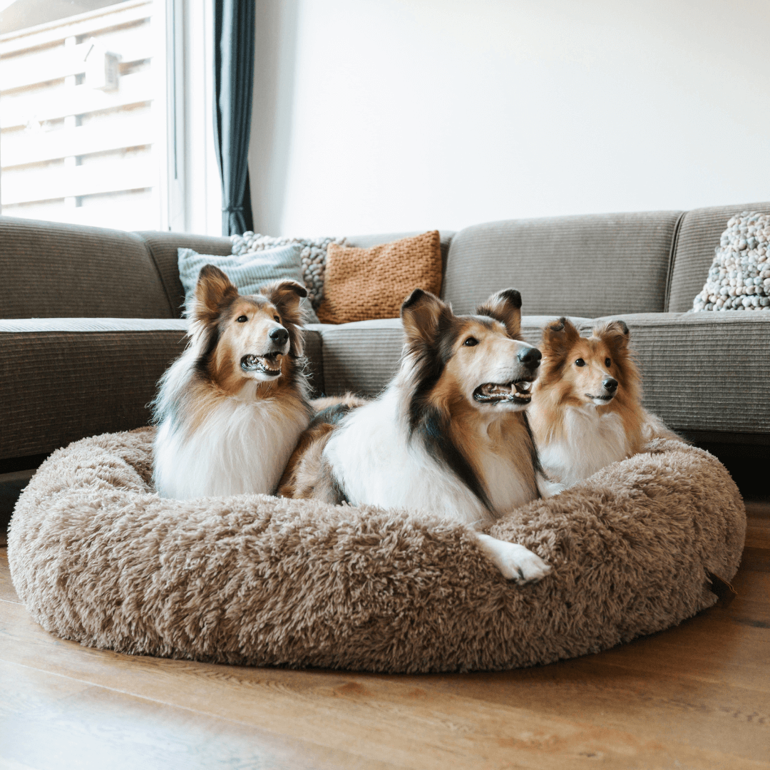 Flauschiges, angstlösendes Donut-Hundebett für alle Hunde
