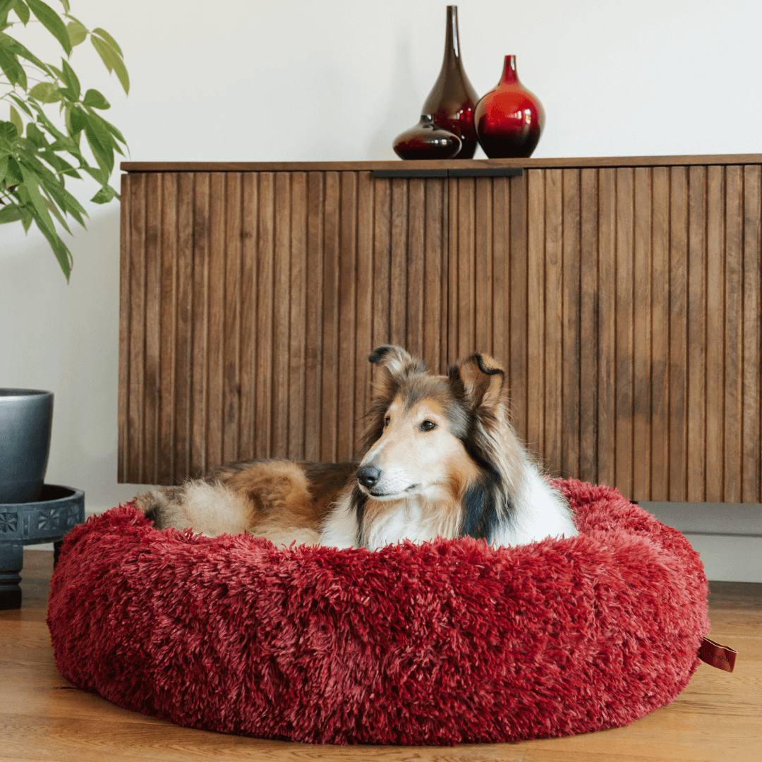 Flauschiges, angstlösendes Donut-Hundebett für alle Hunde