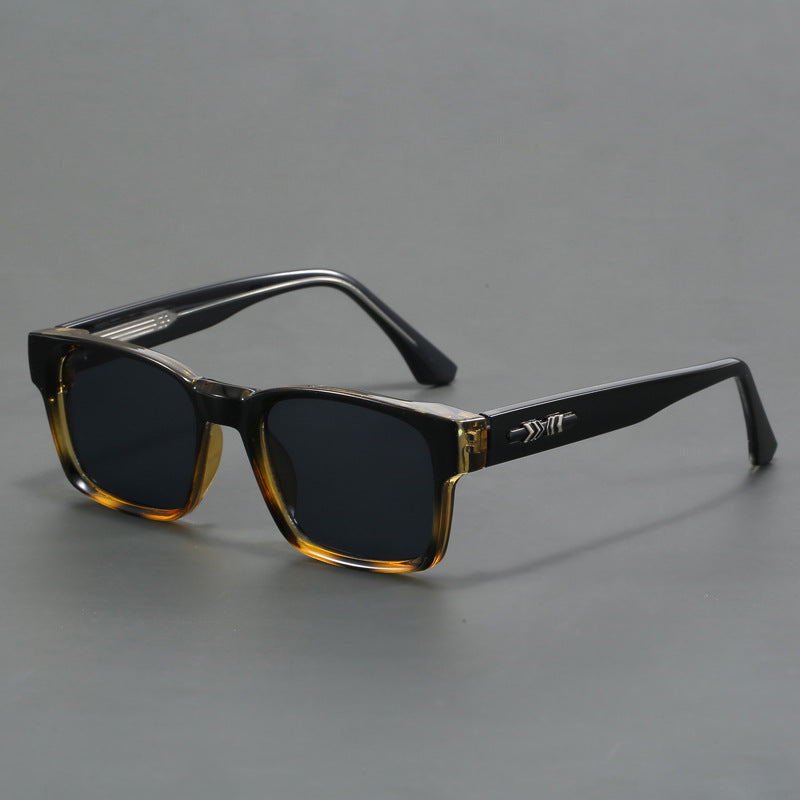 Polarisierte Sonnenbrille