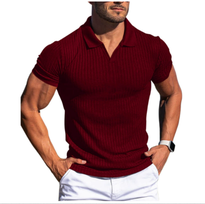 Stilvolles Sommer-Poloshirt für Herren