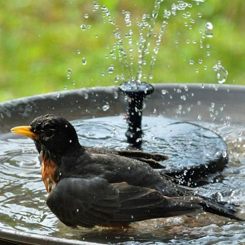 Solar-Springbrunnenpumpe – für Gartenteich, Vogeltränke oder Gartendekoration