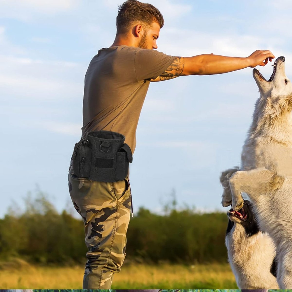 Taktische Leckerlibeutel-Tasche für Hunde