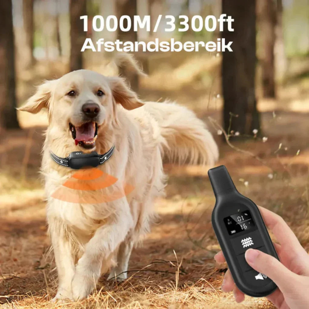 Ferngesteuertes Trainingshalsband für Hunde mit grosser Reichweite