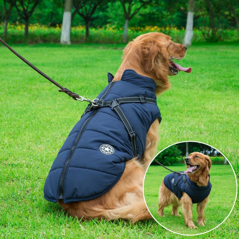 Winterjacke für Hunde
