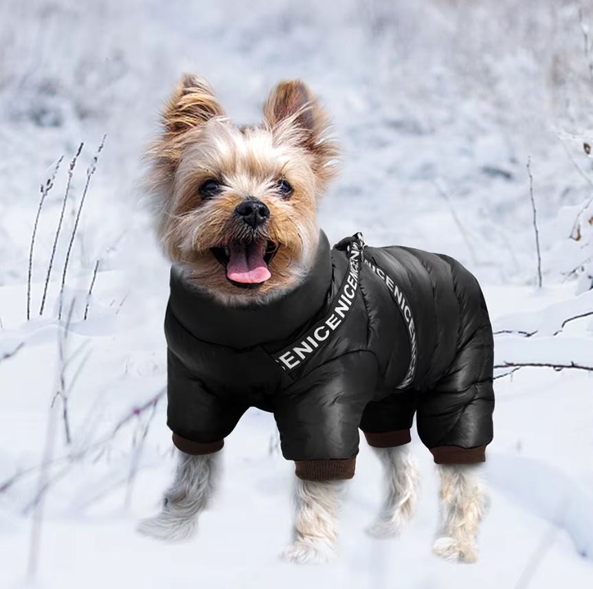 Winter-Hundemantel: wärmeisolierte, wasserdichte Hunde-Winterjacke