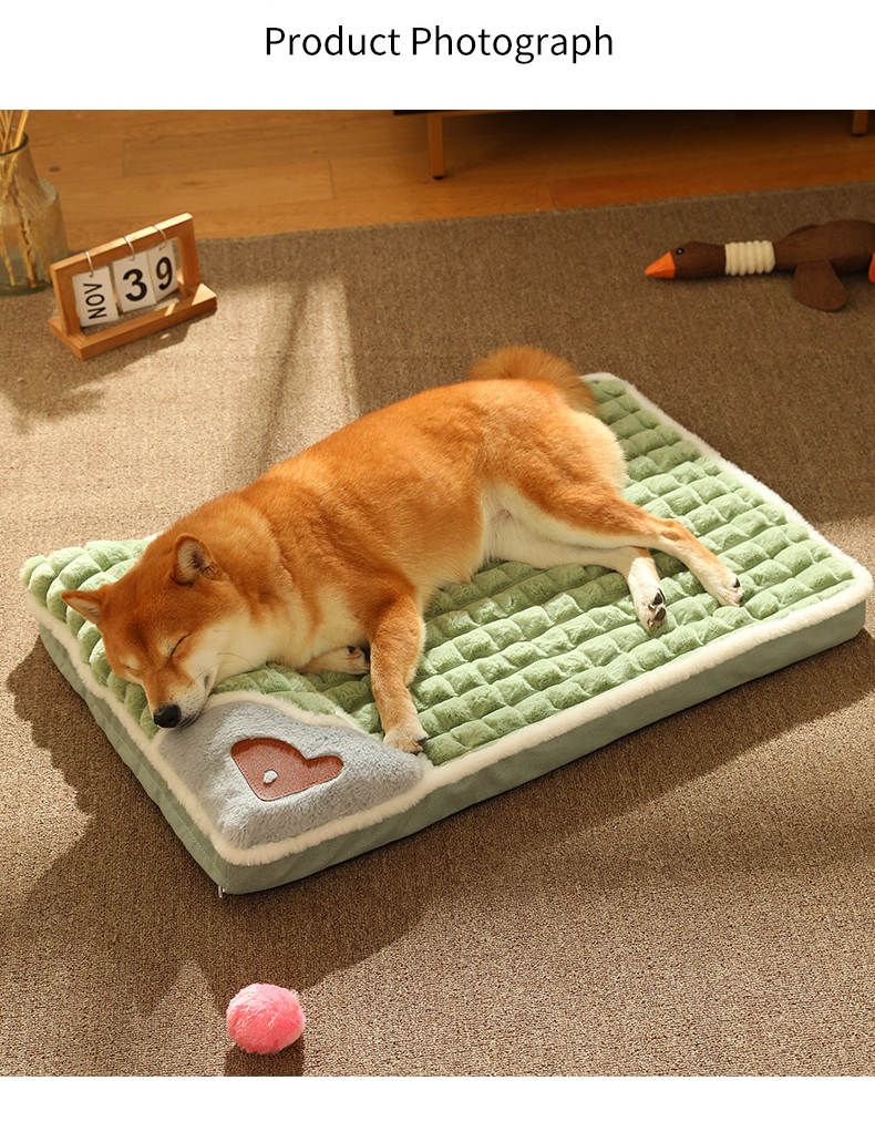Winter-Plüsch-Hundebett und Matratze – Warmes Hundesofa für kleine und mittelgrosse Hunde