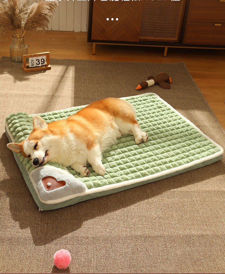 Winter-Plüsch-Hundebett und Matratze – Warmes Hundesofa für kleine und mittelgrosse Hunde