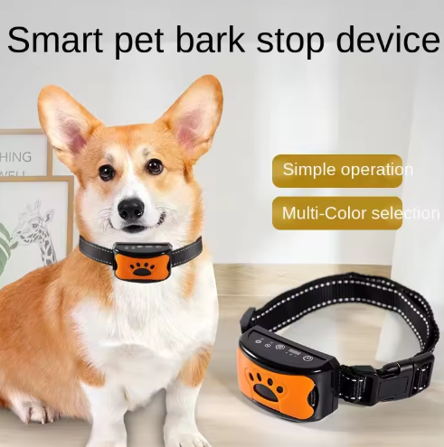 Anti-Bell-Halsband für Hunde - Für ein sanftes und schonendes Training
