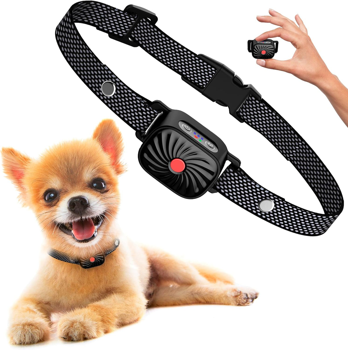 Anti-Bell-Halsband für kleine Hunde