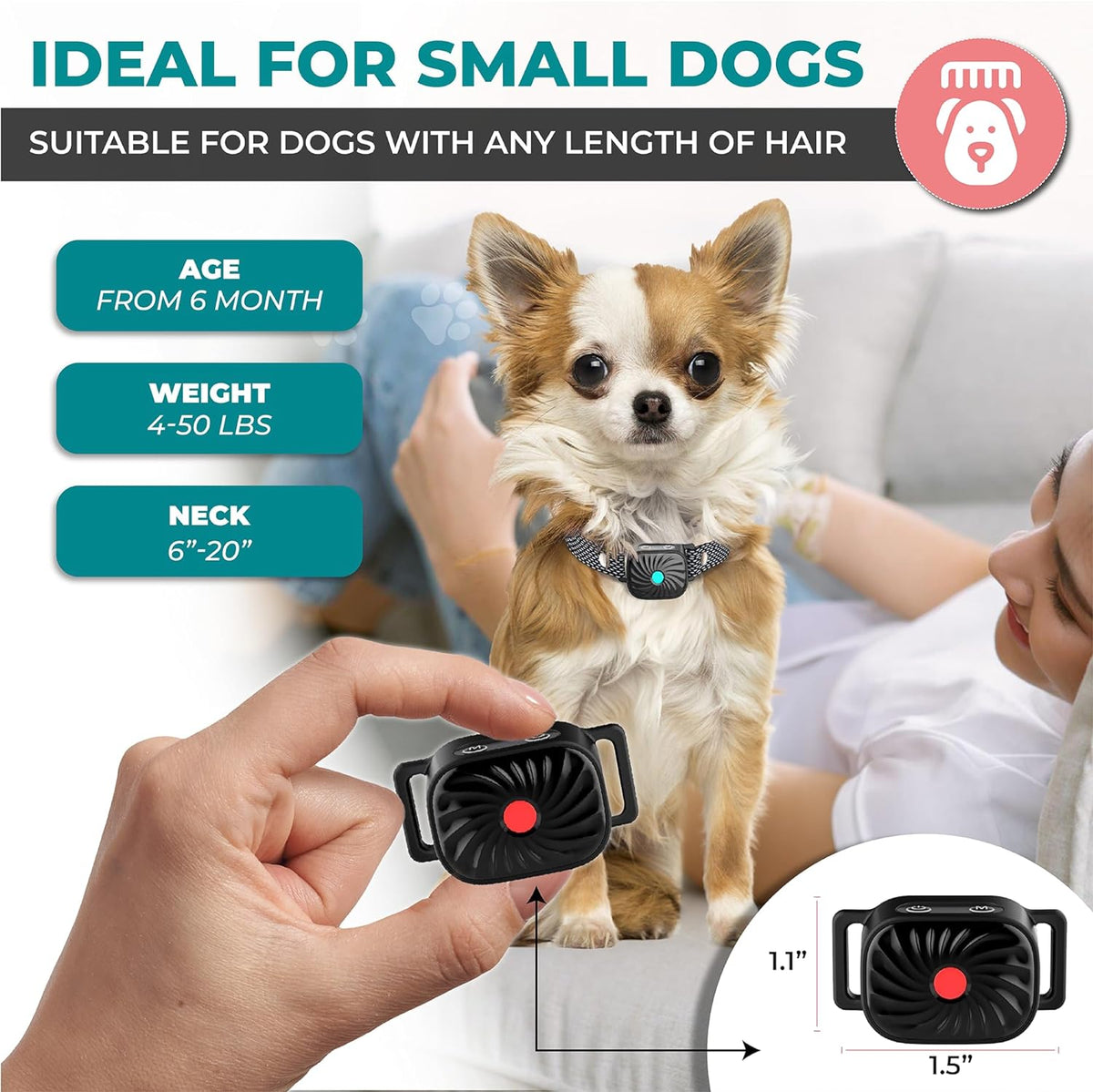 Anti-Bell-Halsband für kleine Hunde