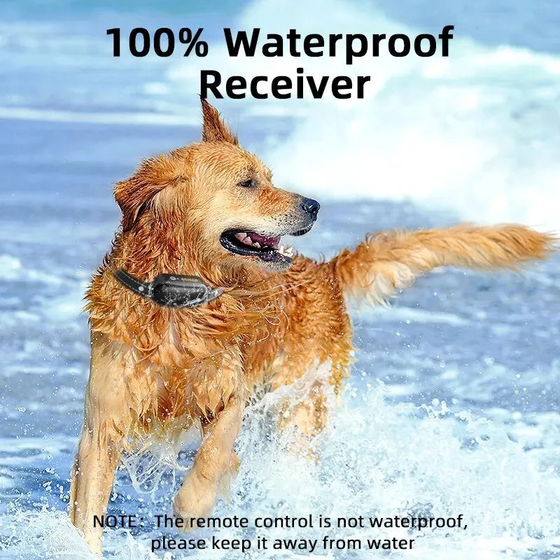 Wiederaufladbares wasserdichtes Hundetrainingshalsband mit Fernbedienung