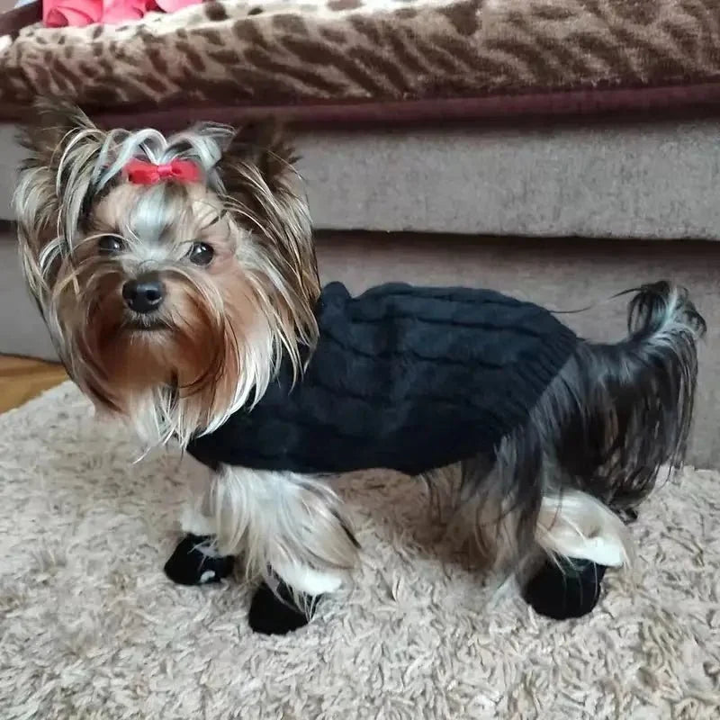 Wasserdichte Hundeschuhe
