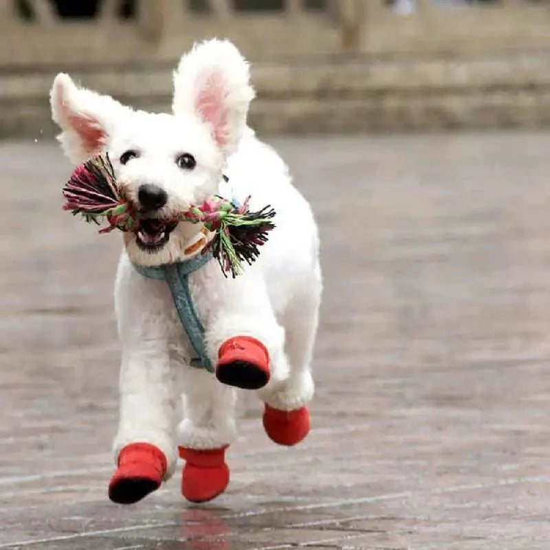 Wasserdichte Hundeschuhe