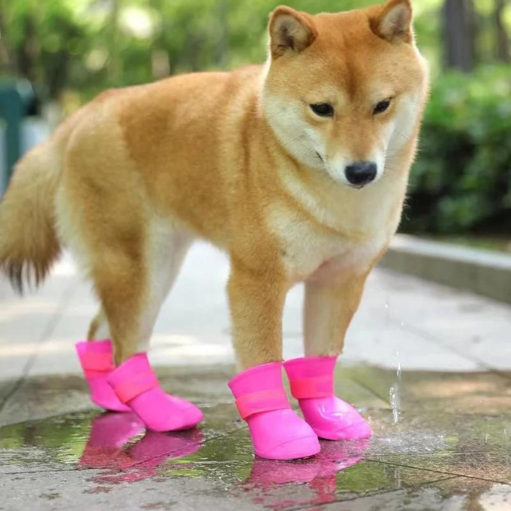 Wasserdichte Hundeschuhe