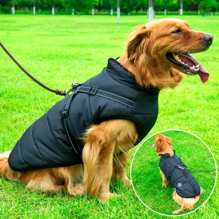 Wasserdichte Winter-Hundejacke - Mit Sherpa-Fleece-Futter - Mit integriertem Geschirr - Ideal für die kalten Monate