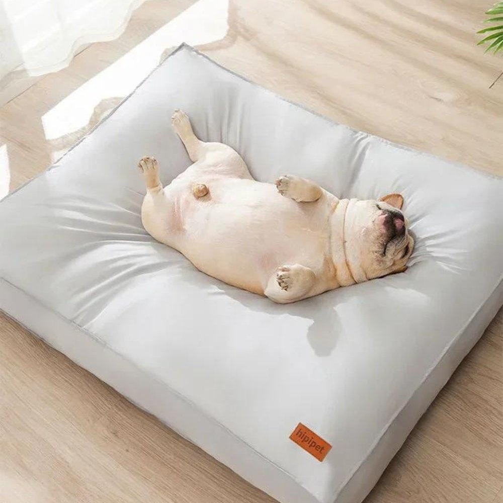 Wasserdichtes und bequemes Hundebett